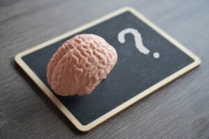 Human brain model on top of a blackboard with a question mark.